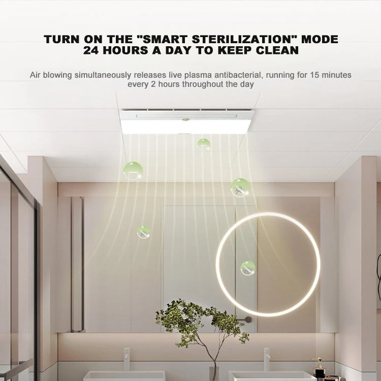 Bathroom Ceiling Heater And Exhaust Fan