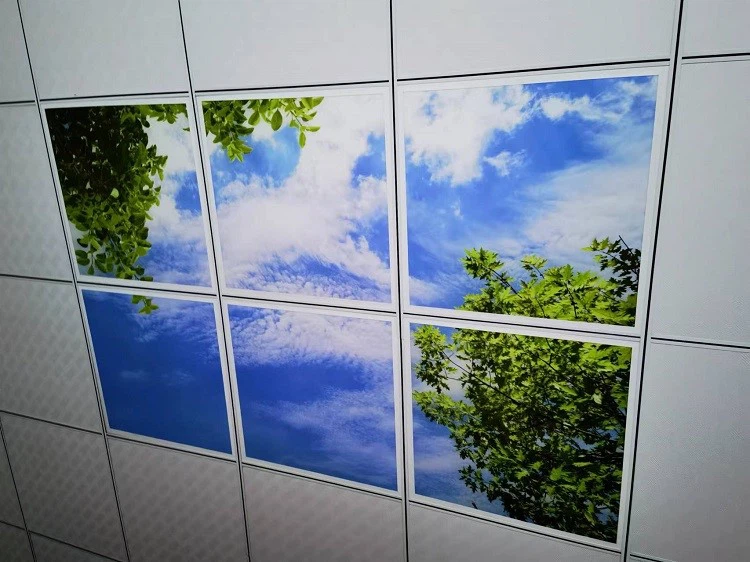 LED Sky Panel Light