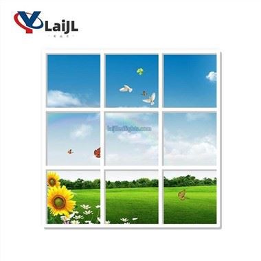 Sky Ceiling LED Panels